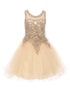 Girls Champagne Gold Trim Wire Tulle Flower Girl Junior Bridesmaid Dress 4-20